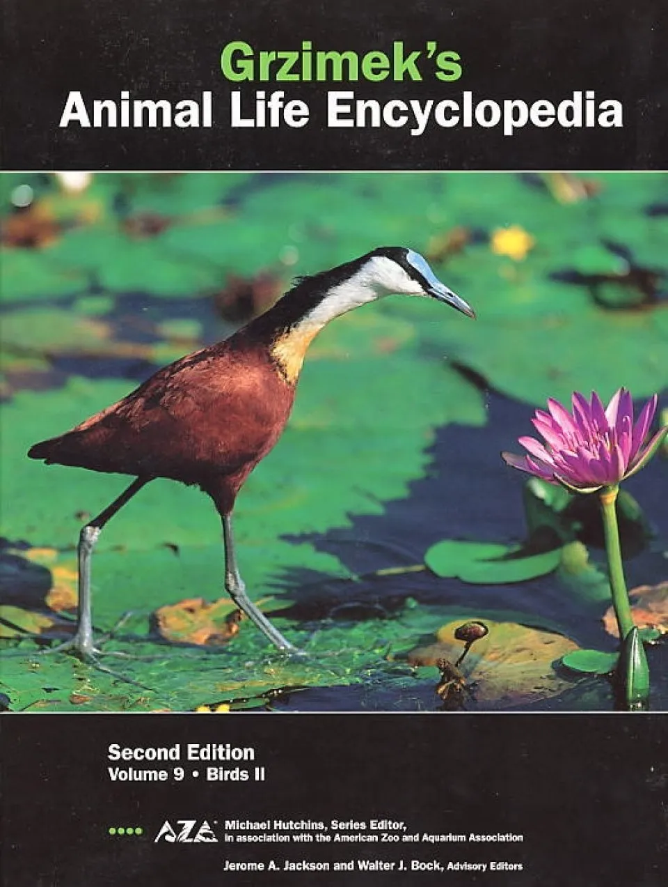 Grzimek Animal Life Encyclopedia : Volume 9: Birds 2